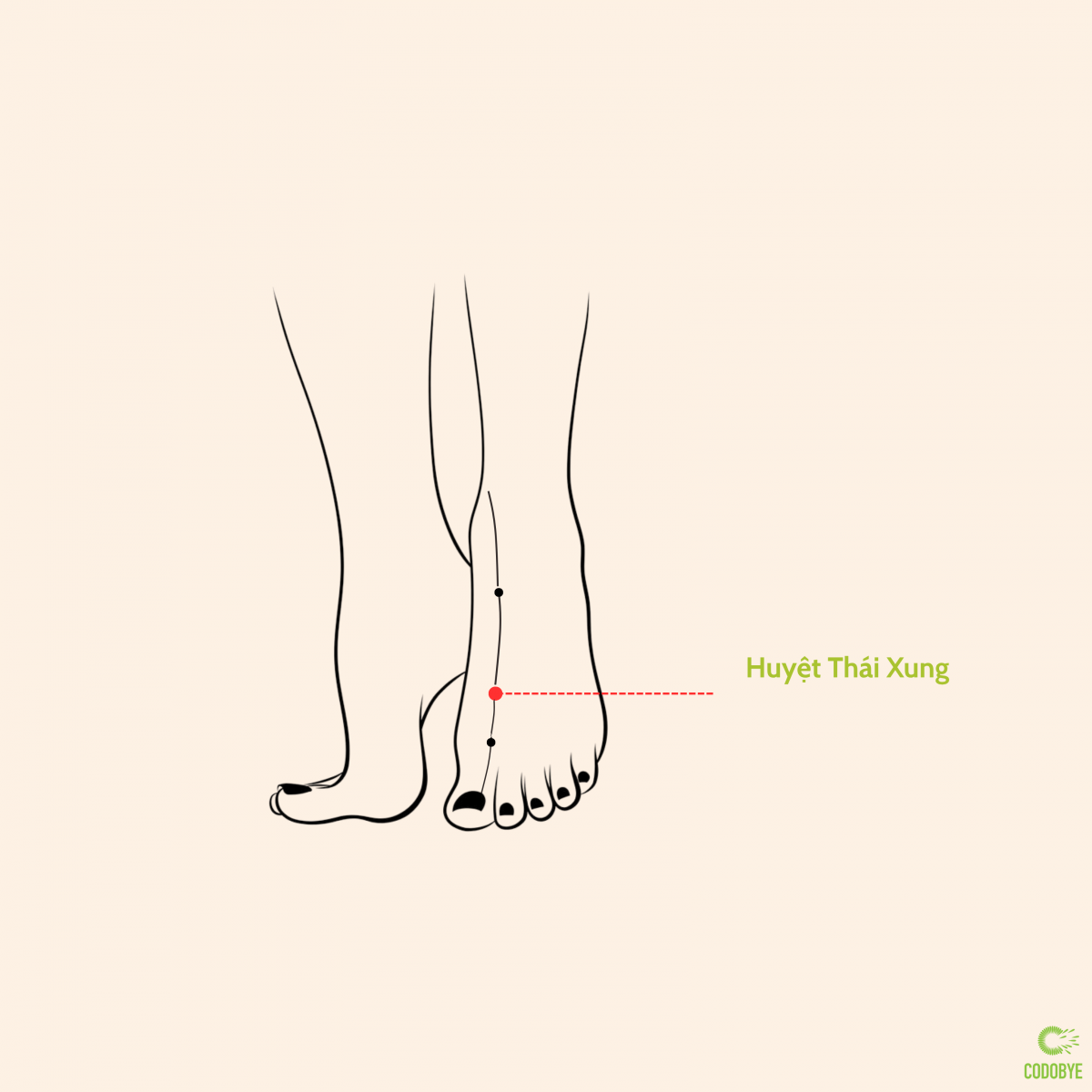 Huyệt Thái Xung cân bằng nội tiết, giúp da sáng khỏe
